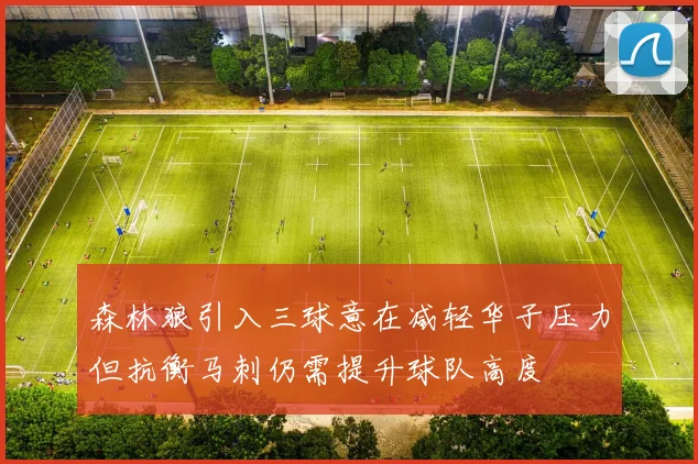 森林狼引入三球意在减轻华子压力但抗衡马刺仍需提升球队高度