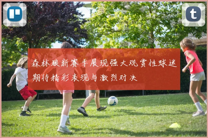 森林狼新赛季展现强大观赏性球迷期待精彩表现与激烈对决