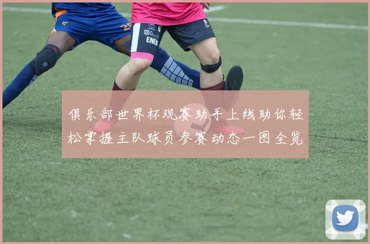 俱乐部世界杯观赛助手上线助你轻松掌握主队球员参赛动态一图全览