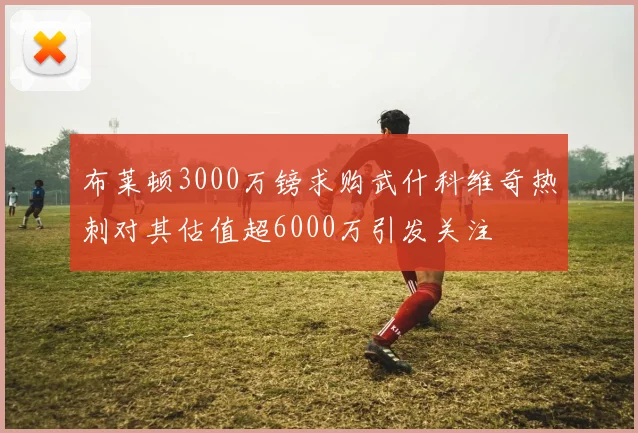 布莱顿3000万镑求购武什科维奇热刺对其估值超6000万引发关注