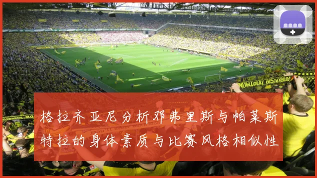 格拉齐亚尼分析邓弗里斯与帕莱斯特拉的身体素质与比赛风格相似性